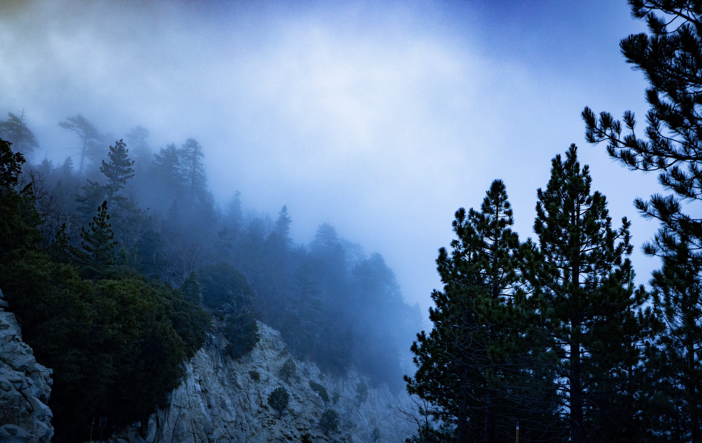Fog drifting through a forested ridge at dawn — a Grizz Media cinematic frame
