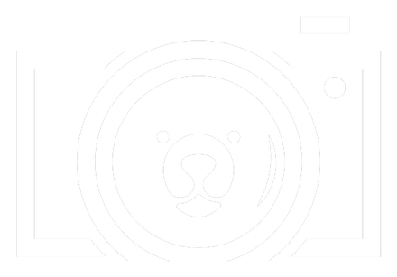 Grizz Media