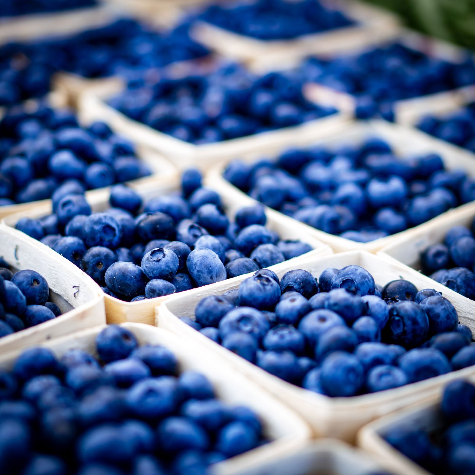 Fresh blueberries at market